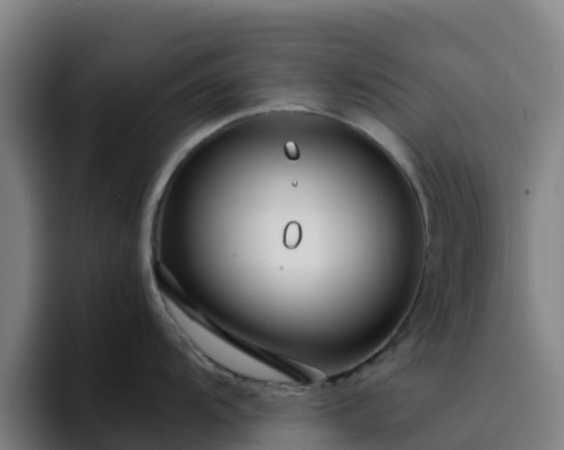 X0000094921104200712061104