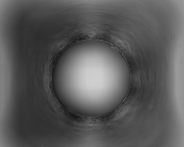 X0000094921105200712061103