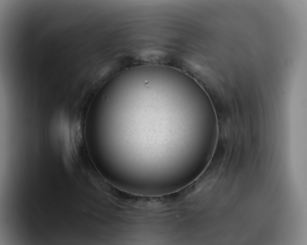 X0000094921106200712061103