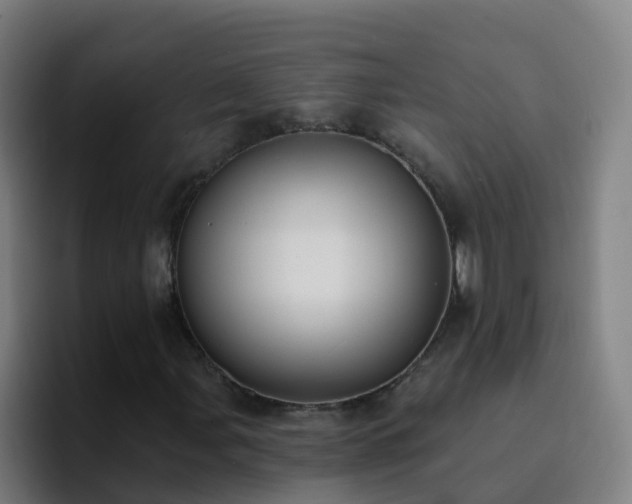 X0000094921107200712061103