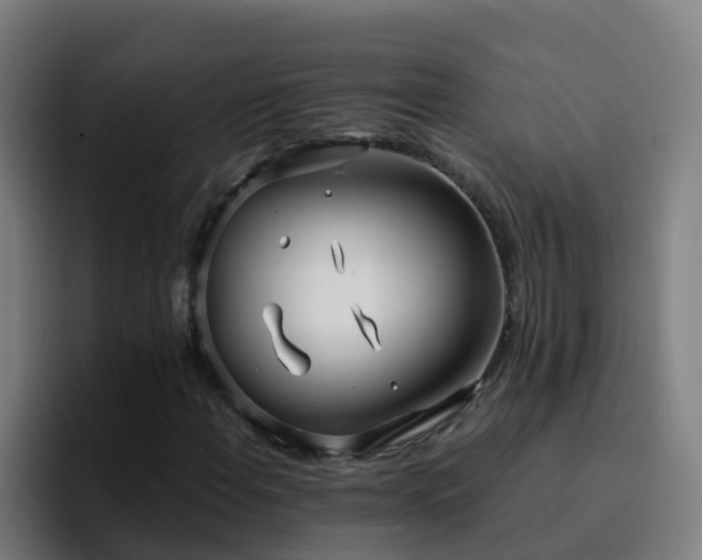 X0000094921108200712061103