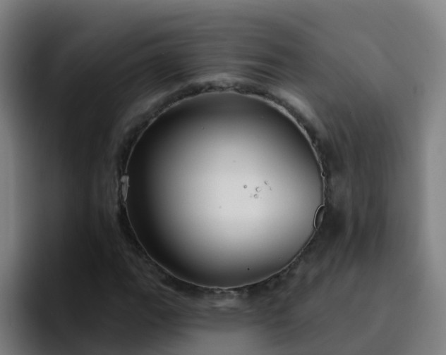 X0000094921111200712061103