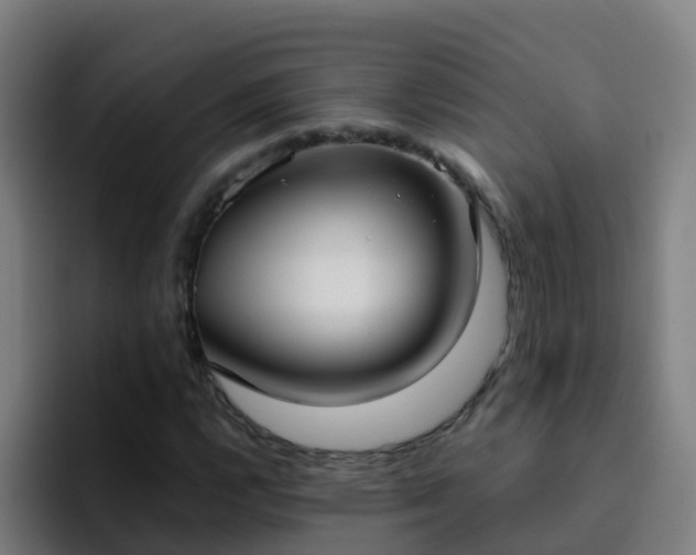 X0000094921112200712061103