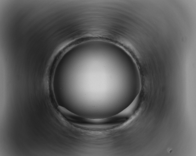 X0000094921114200712061103