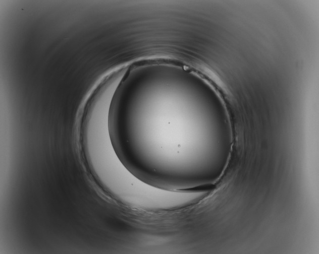 X0000094921116200712061103