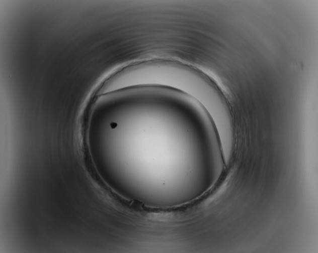 X0000094921118200712061103