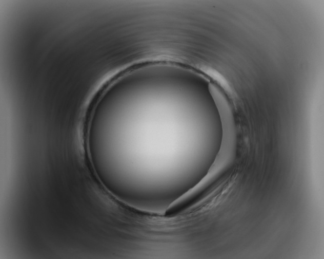 X0000094921120200712061103