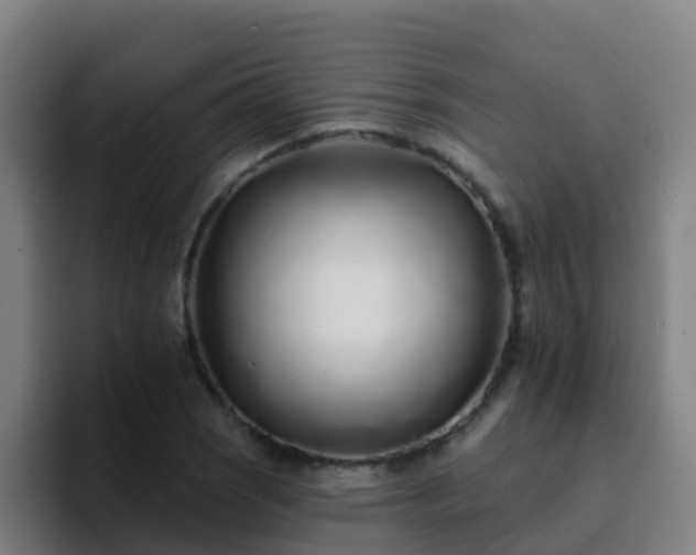 X0000094921121200712061103