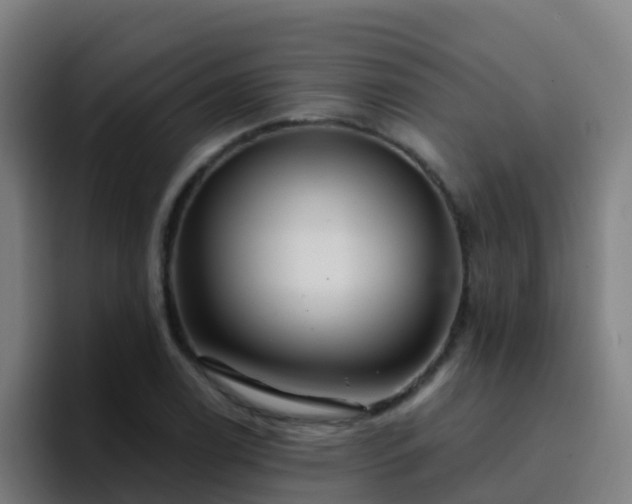 X0000094921122200712061103