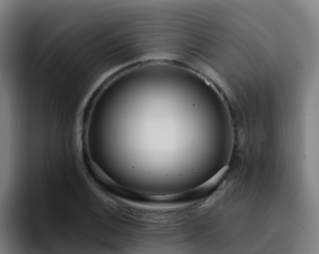 X0000094921124200712061103