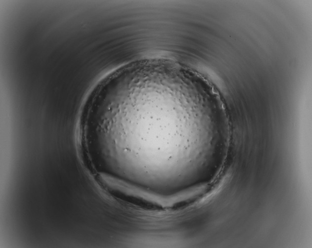 X0000094921125200712061103