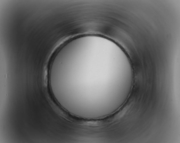 X0000094921126200712061103