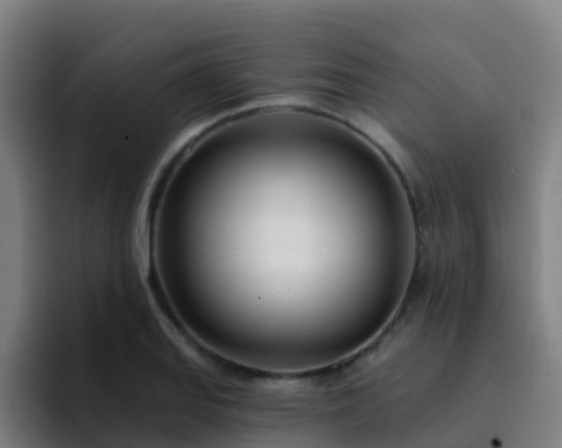 X0000094921127200712061103