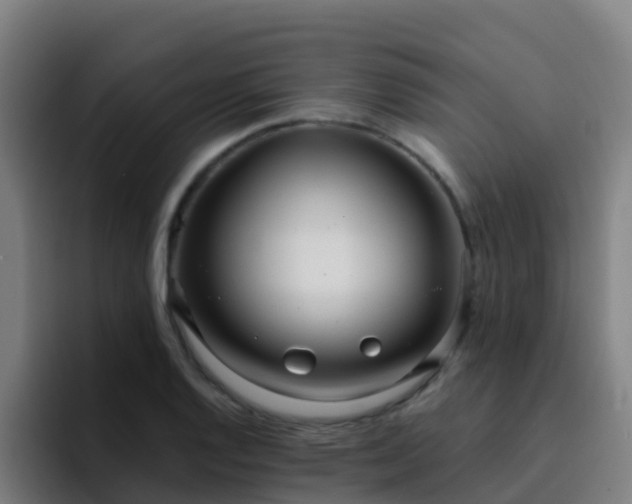 X0000094921128200712061103