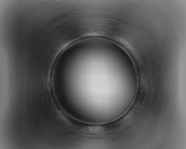 X0000094921129200712061103