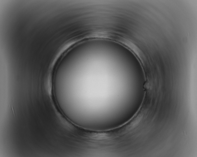 X0000094921131200712061103