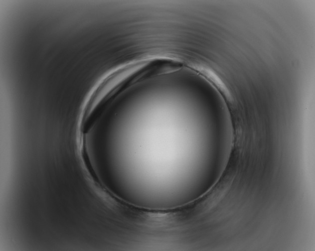 X0000094921132200712061103