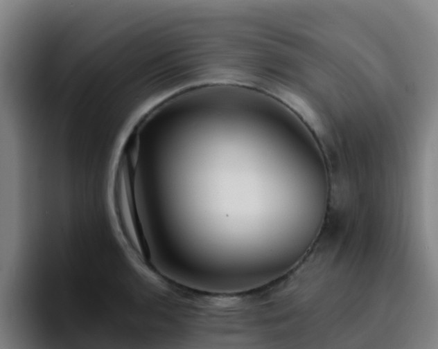 X0000094921136200712061104