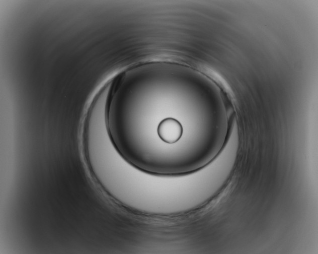 X0000094921138200712061104