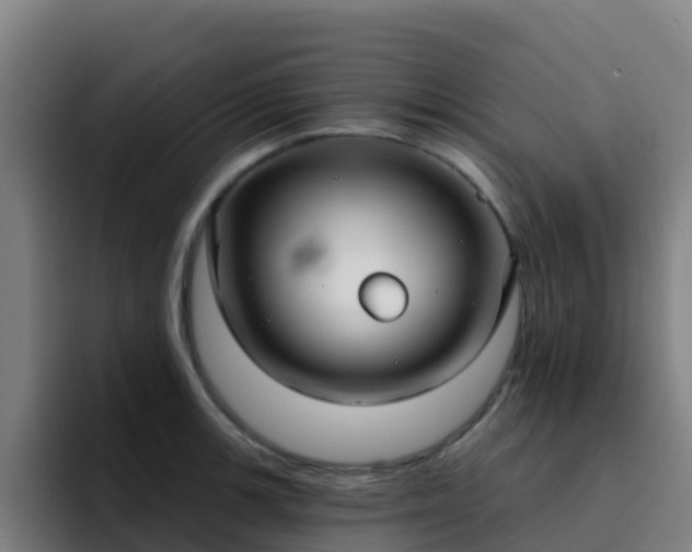 X0000094921139200712061104