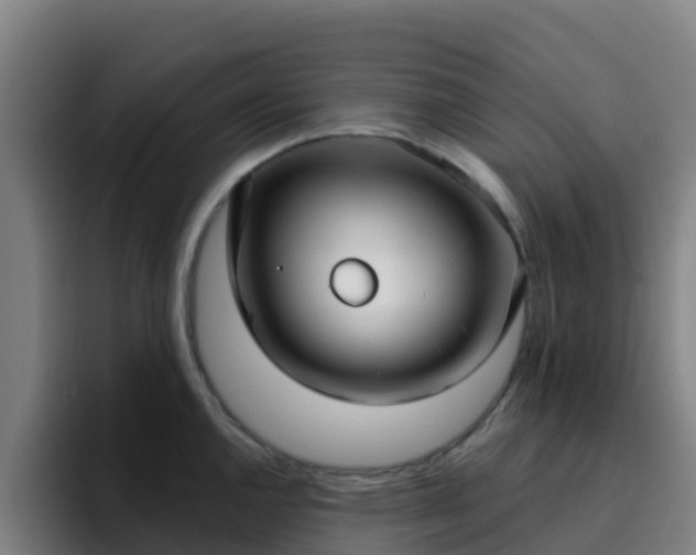 X0000094921144200712061104