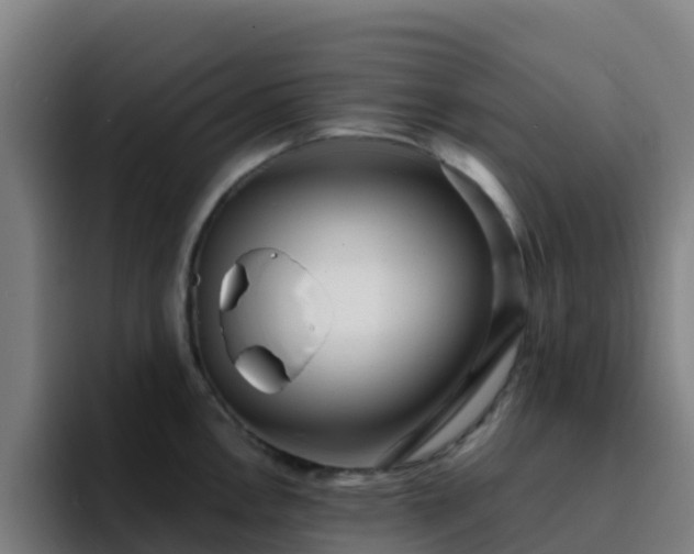 X0000094921146200712061104