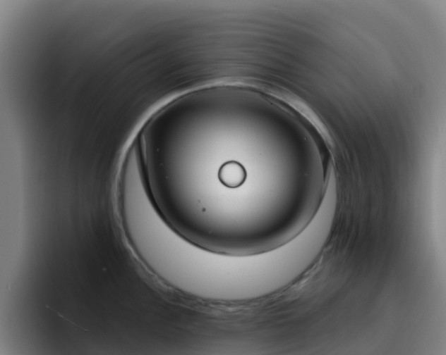 X0000094921148200712061104