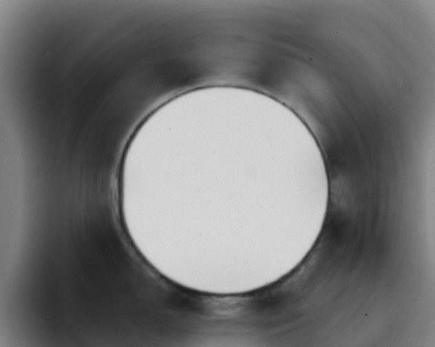 X0000094921150200712061104