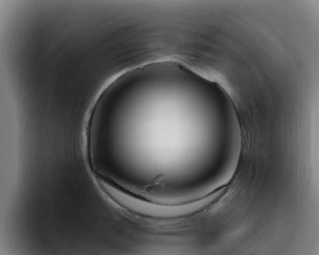 X0000094921151200712061104