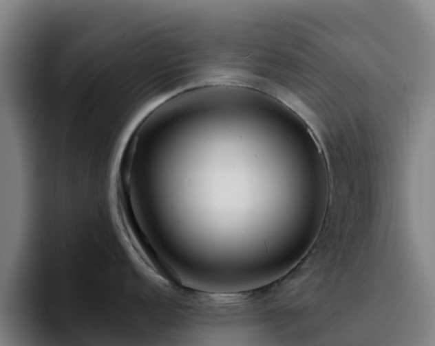 X0000094921152200712061104