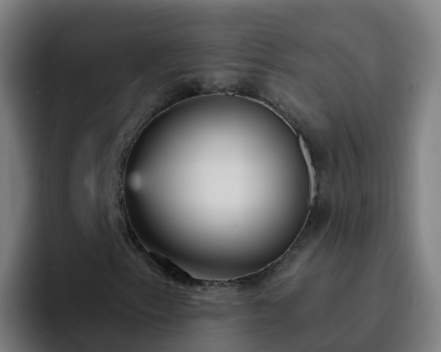 X0000094921153200712061103