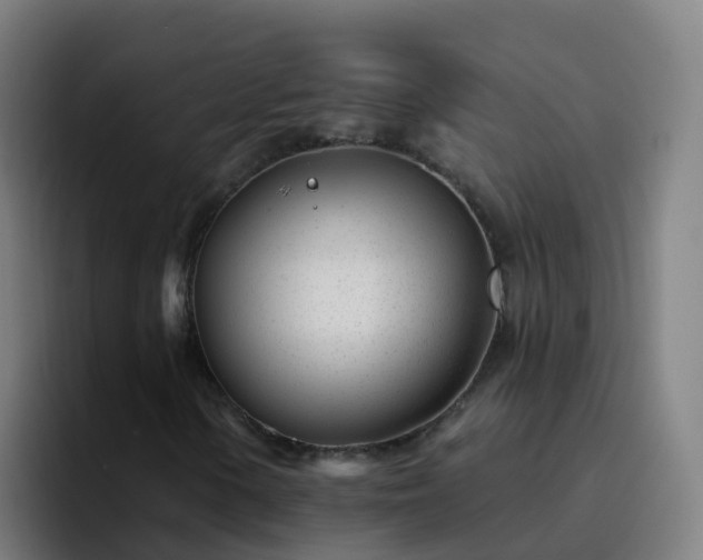 X0000094921154200712061103