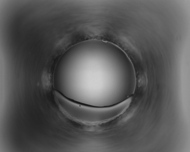 X0000094921156200712061103