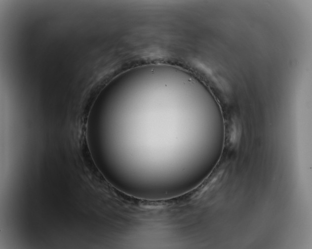 X0000094921157200712061103