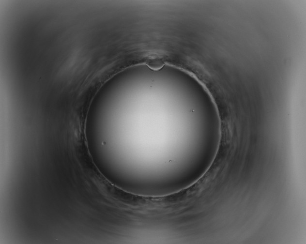 X0000094921158200712061103