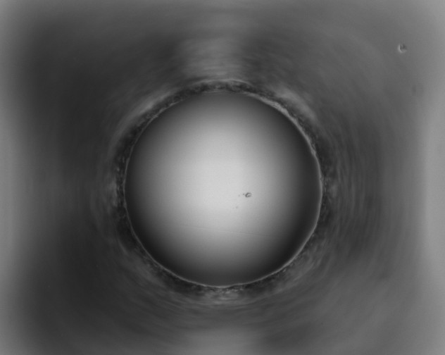 X0000094921159200712061103