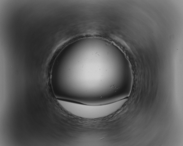 X0000094921160200712061103