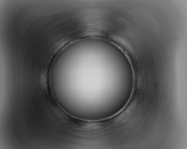 X0000094921162200712061103