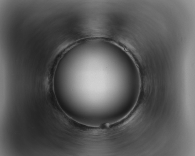 X0000094921163200712061103