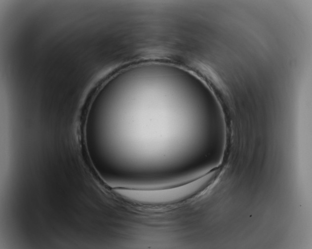 X0000094921164200712061103