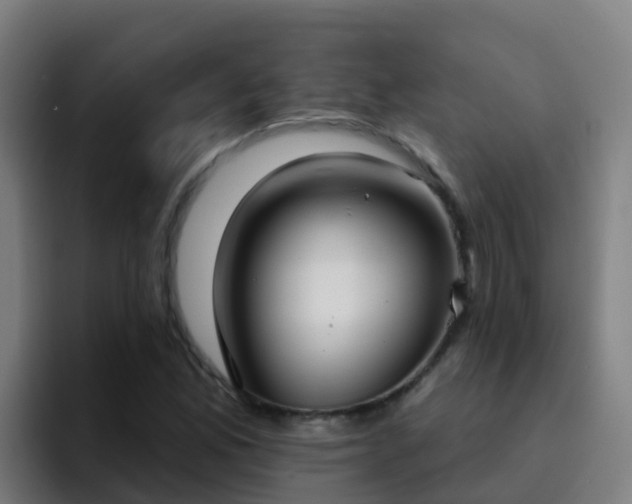 X0000094921165200712061103