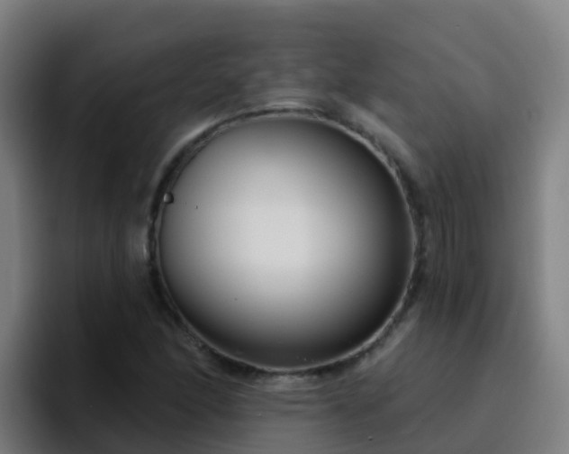 X0000094921166200712061103