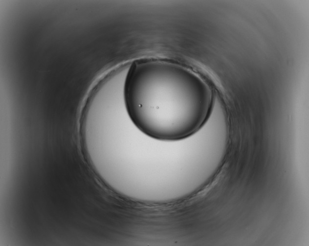 X0000094921168200712061103