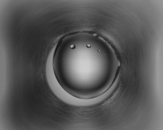 X0000094921169200712061103