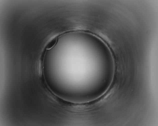 X0000094921171200712061103