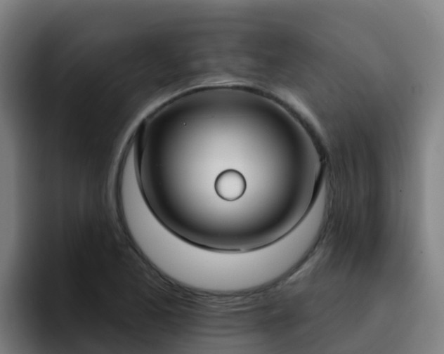 X0000094921173200712061103