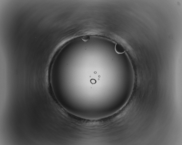 X0000094921174200712061103