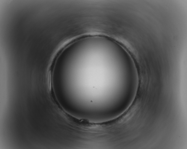 X0000094921175200712061103