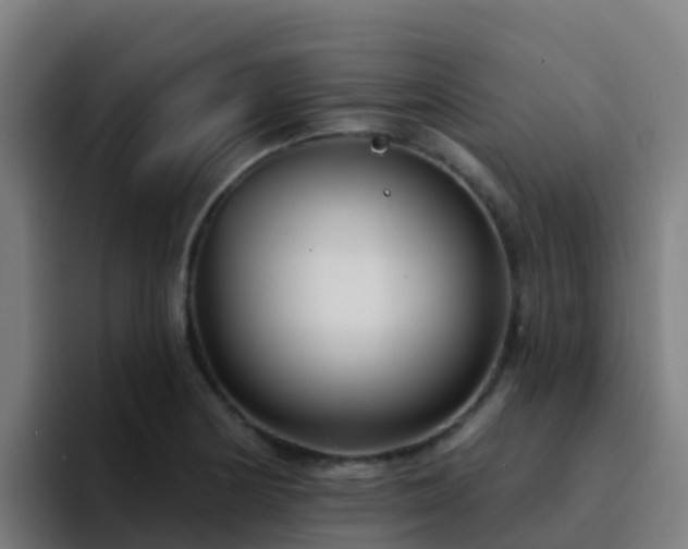 X0000094921178200712061103