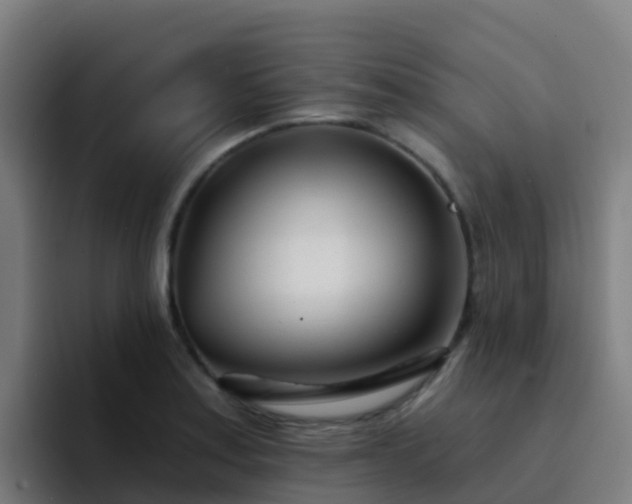 X0000094921179200712061103